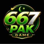 667Pak Game
