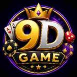 9D Game