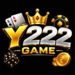 Y222 Game